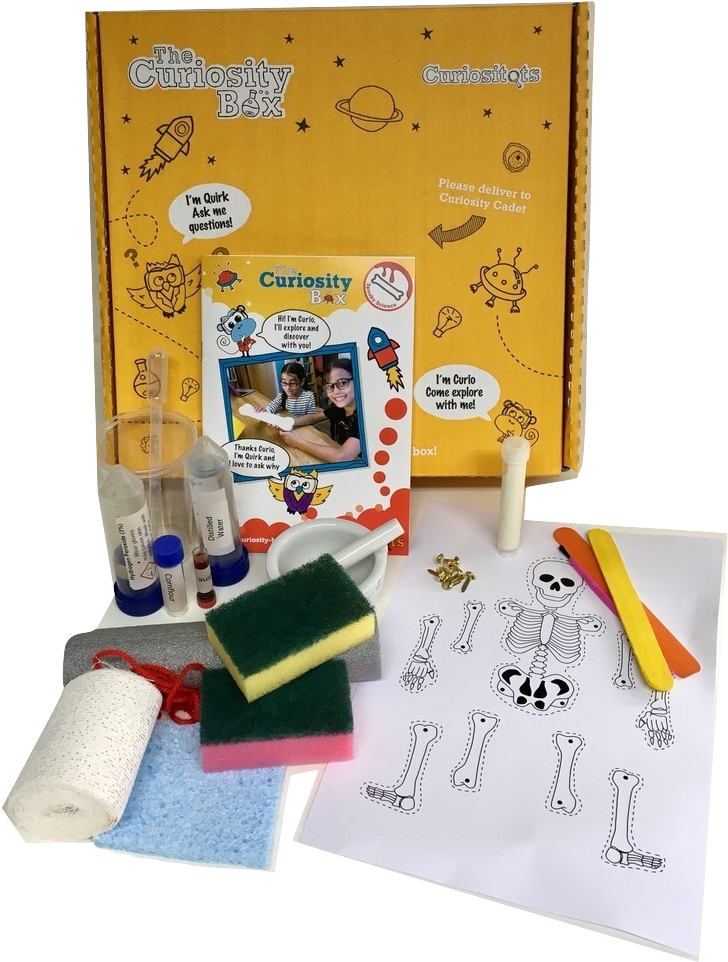 The Shop - Picture Frame (799x1057), Png Download