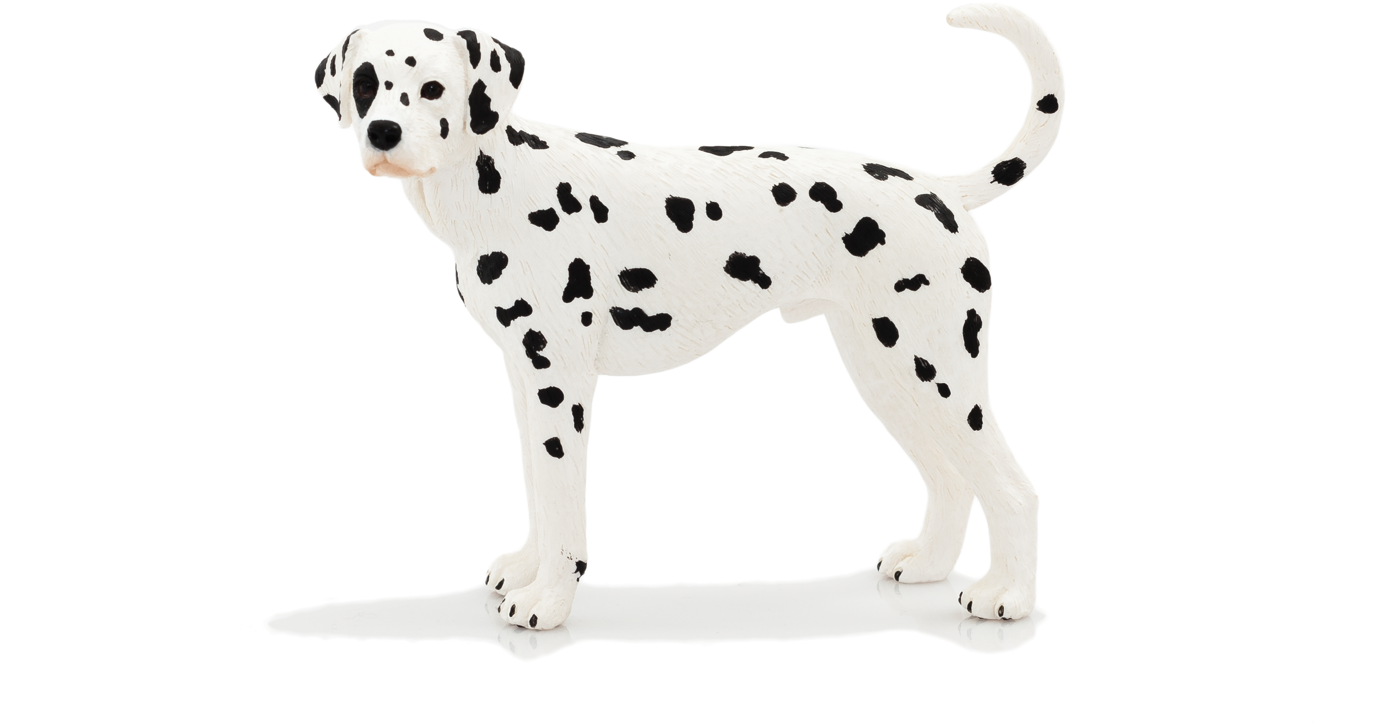 Mojo Animal Planet Dogs (2885x1922), Png Download