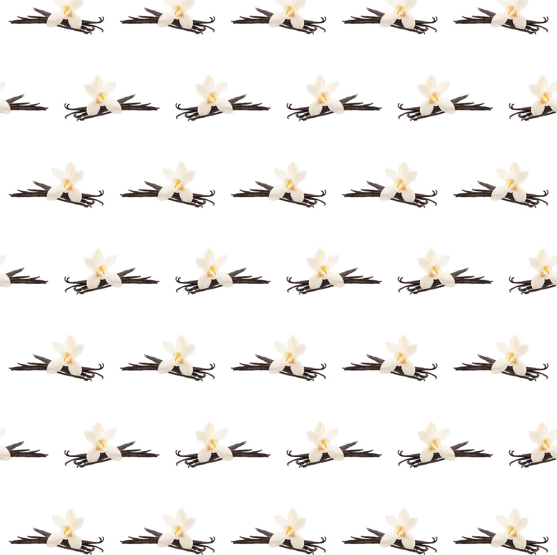 Vanilla Protein Powder - Duck (1920x1981), Png Download