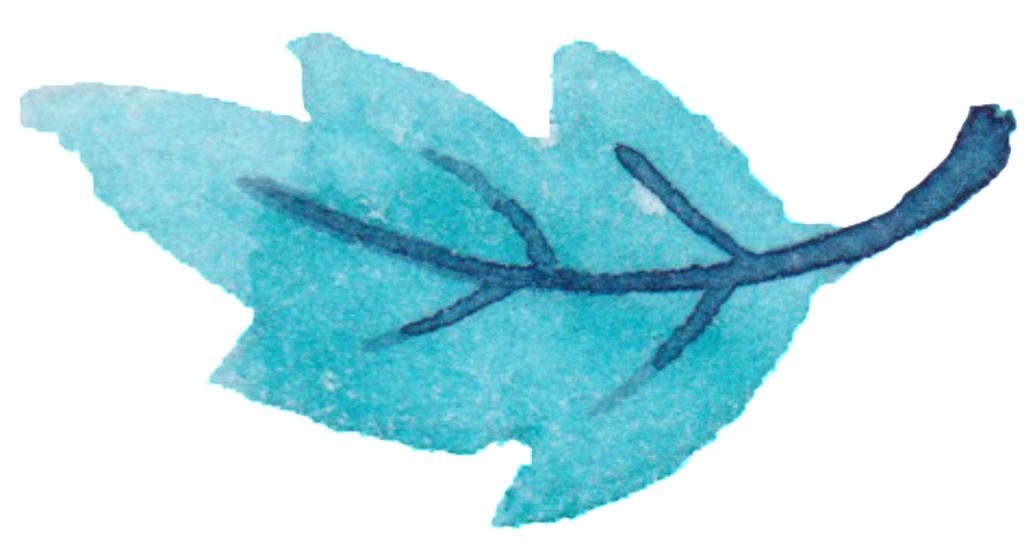 Leaves Falling Decorative - Illustration (1024x542), Png Download