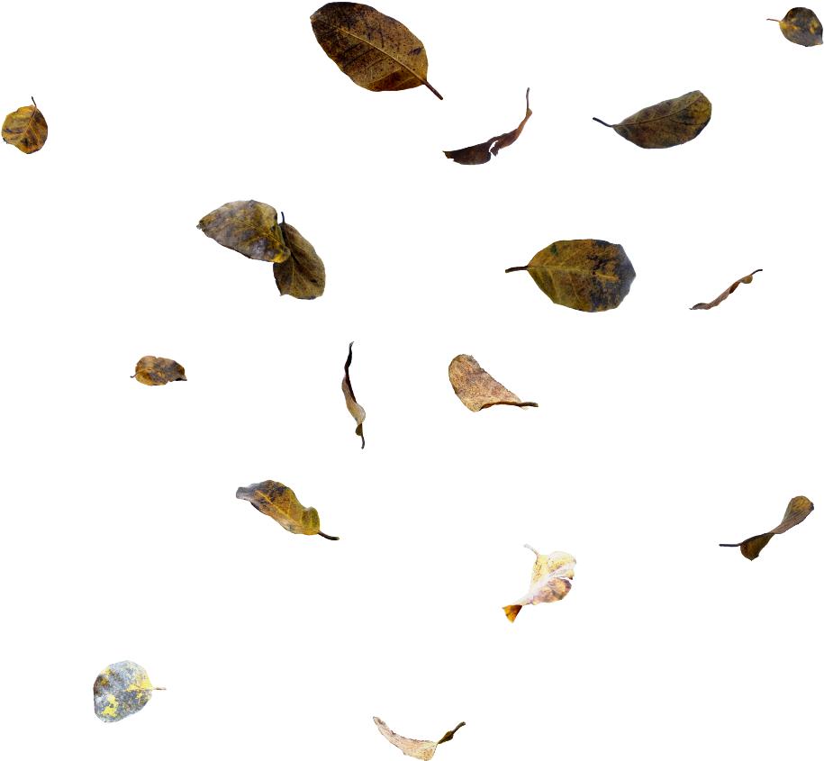 Ftestickers Sticker - Moths And Butterflies (1024x1024), Png Download