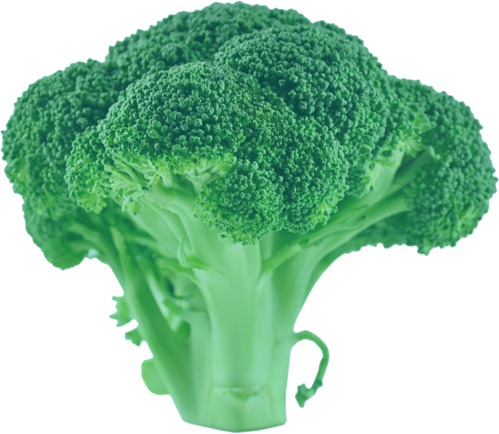 Brocoli Green Trans 2 - Broccoli (1024x890), Png Download