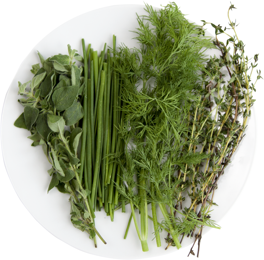 Chef - Grass (1000x1000), Png Download