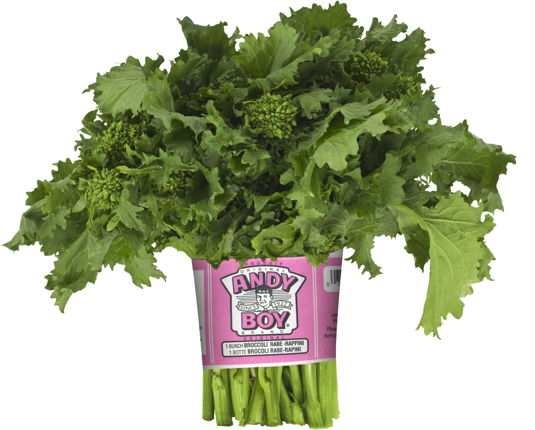 Darrigo Broccoli Rabe - Broccoli Rabe Bunch (2048x1879), Png Download