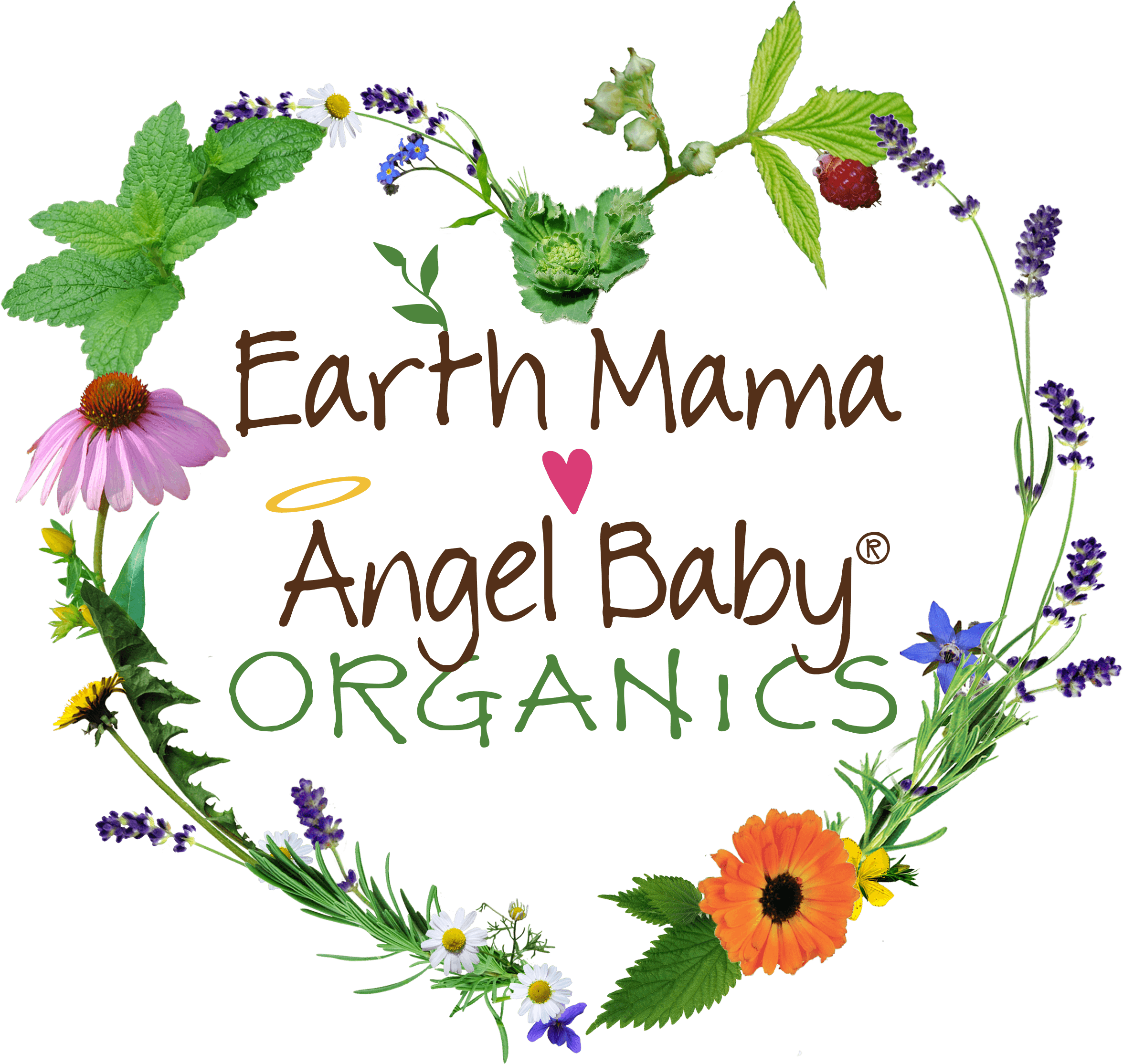 Earth Mama Logo - Earth Mama Angel Baby (2450x2448), Png Download