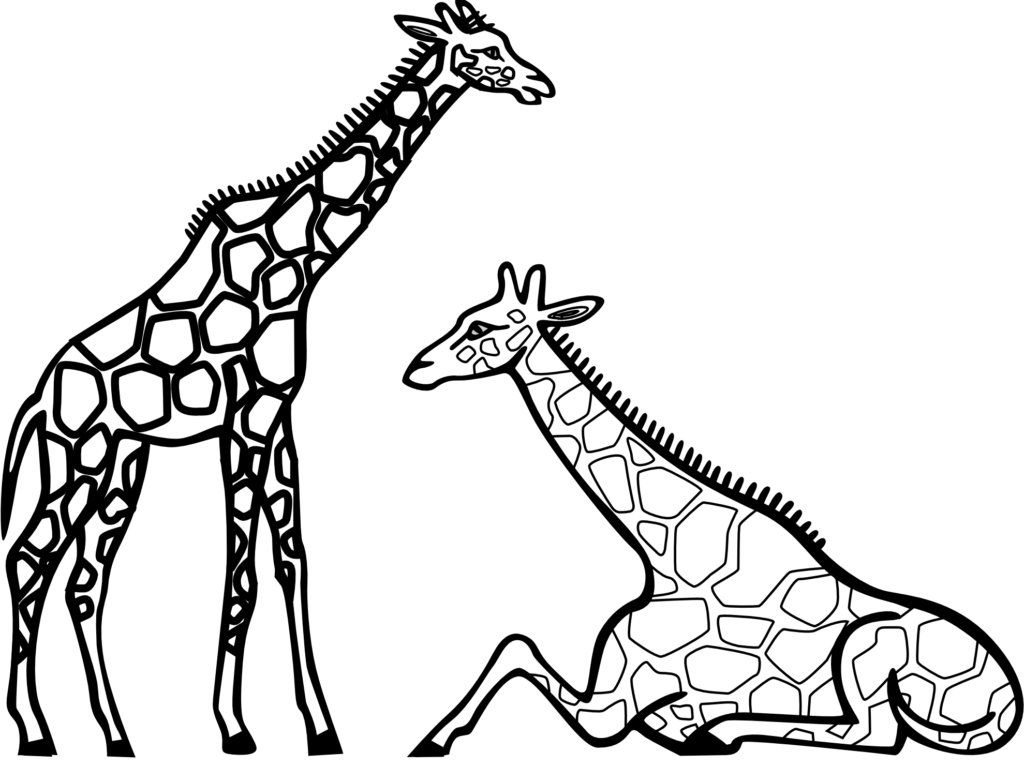 Child Clipart Black And White Elephant Clipart - Colouring Picture Of A Giraffe (1024x767), Png Download