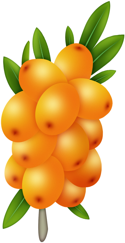 Tropical Watercolor Fruit, Fruit Painting, All Fruits, - Seedless Fruit (458x858), Png Download