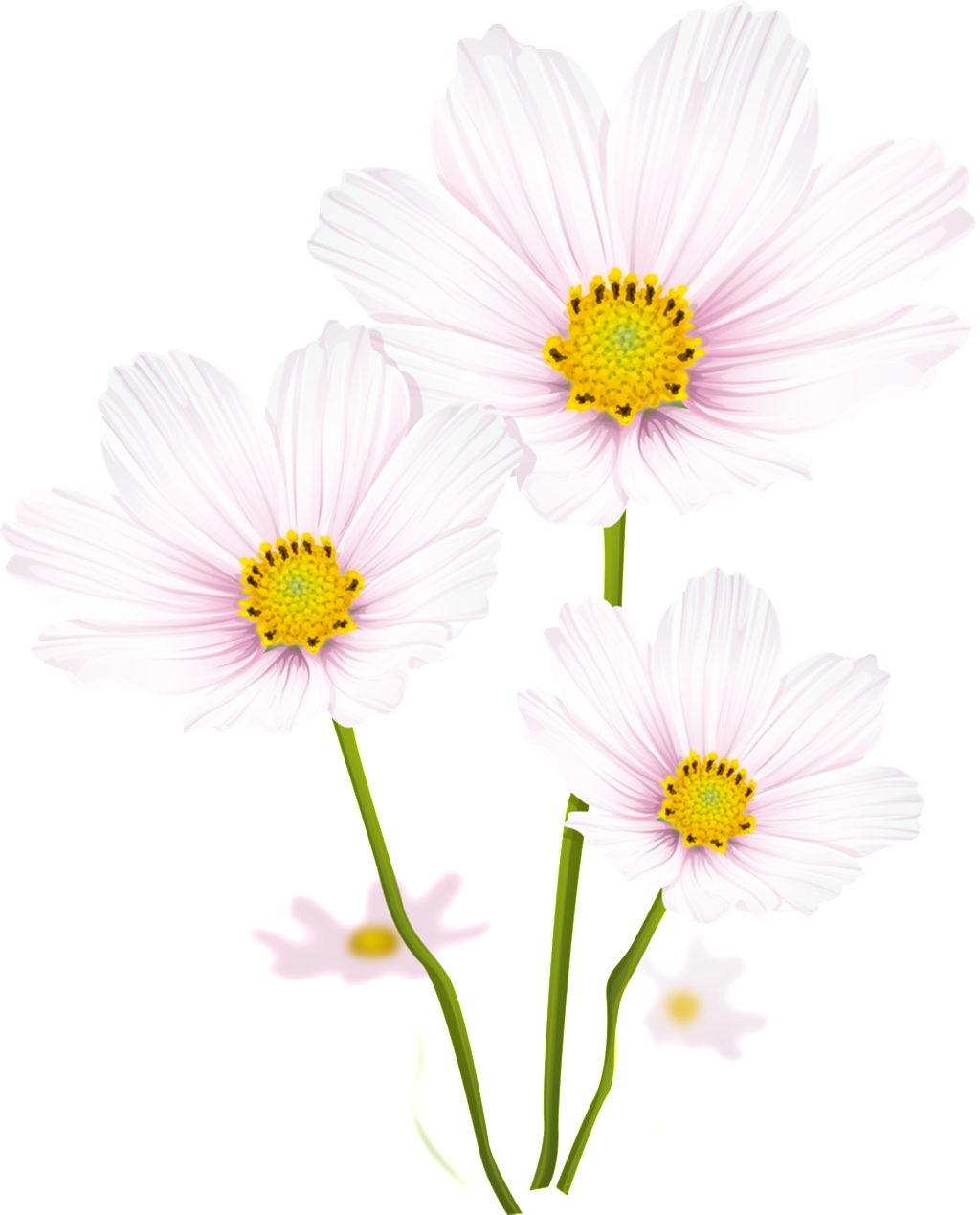 Teenage Girl Pink Flower Pass Transparent - 矢量 图 (1024x1269), Png Download