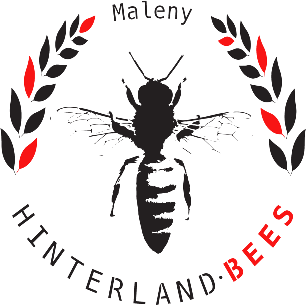 Download Dripping Honey Png PNG Image with No Background