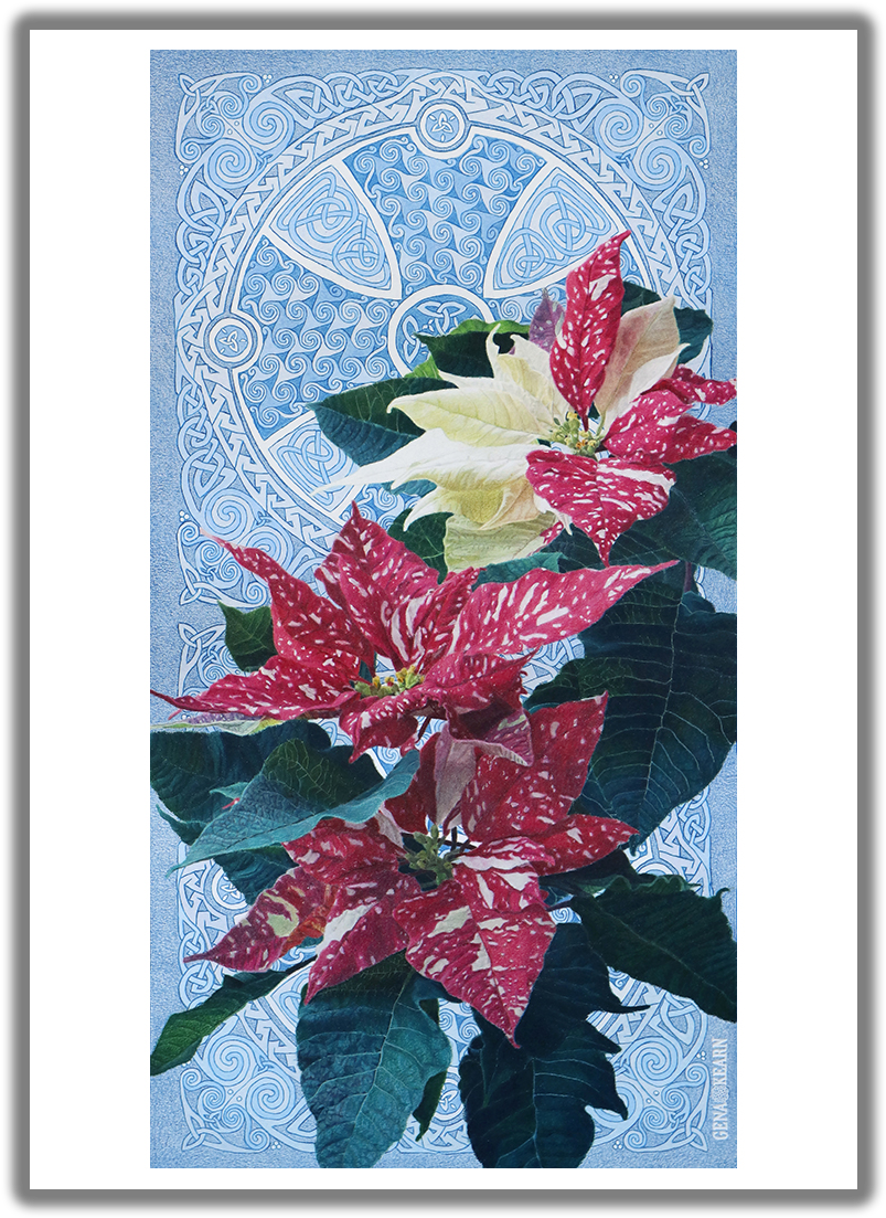 Good Tidings Of Great Joy Poinsettia Christmas Card - Poinsettia (825x1125), Png Download
