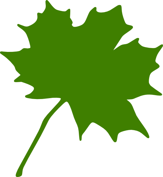 Maple Leaf Clipart Green Maple Leaf Clipart Clipart - Clip Art Canadian Maple Leaf (552x597), Png Download