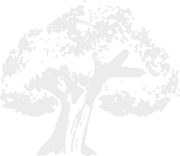 If You Are A Producer Of Cork Products, We Hope You - Oak (607x526), Png Download