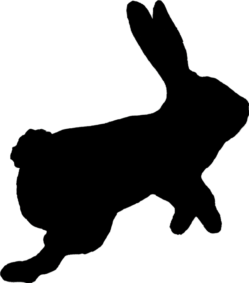 Rabbit Sticker - Dog (1024x1166), Png Download