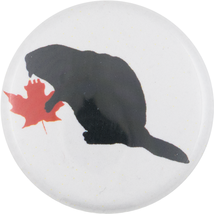 Beaver With Red Leaf - Garibaldi (fish) (1000x847), Png Download