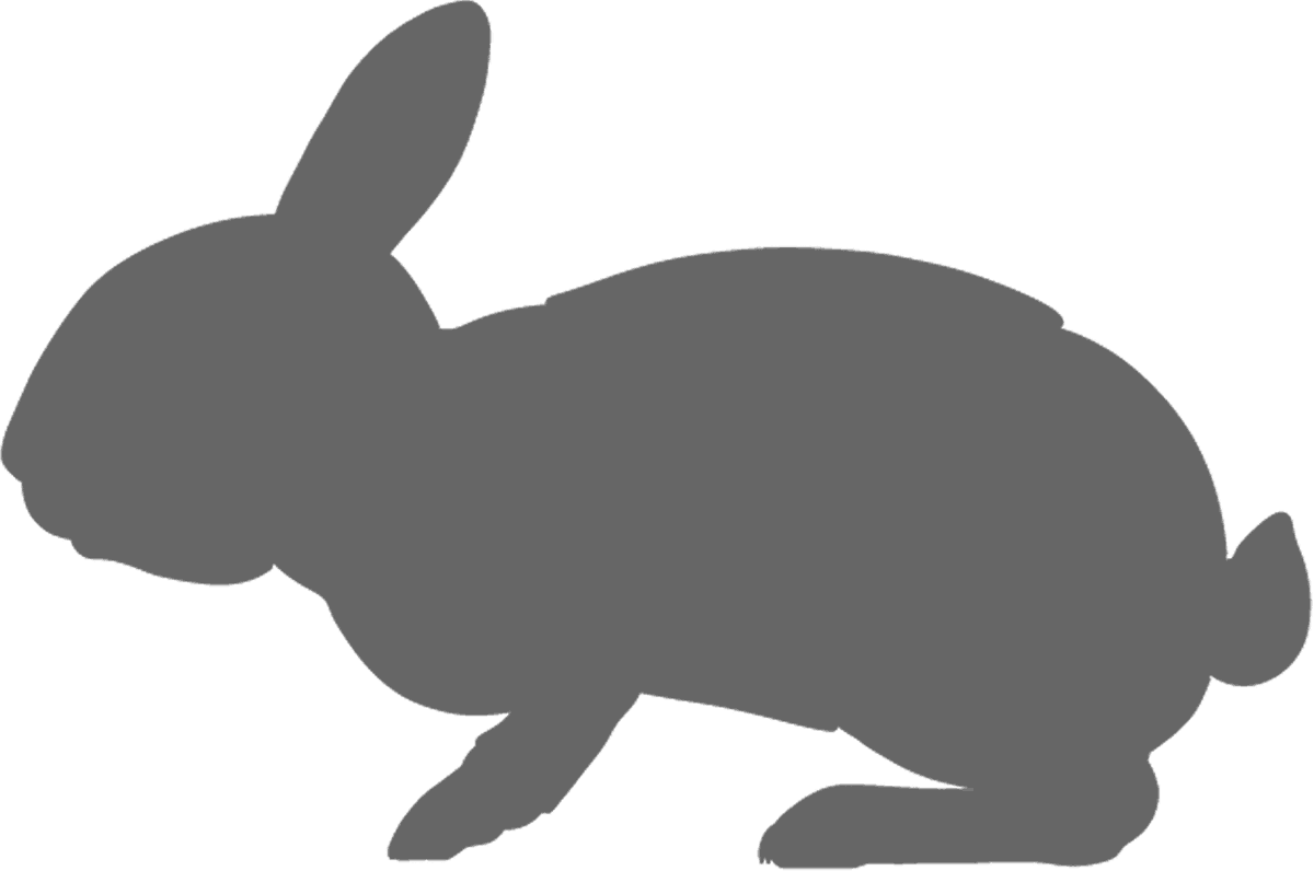 Swamp Rabbit (1200x796), Png Download
