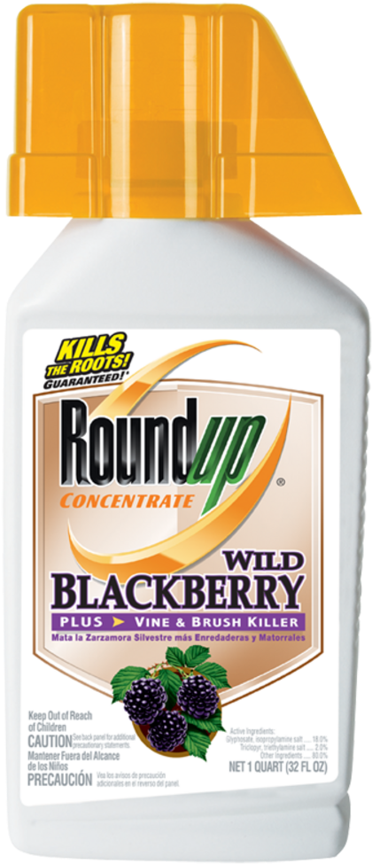 Prevnext - Roundup Blackberry Killer (445x1000), Png Download