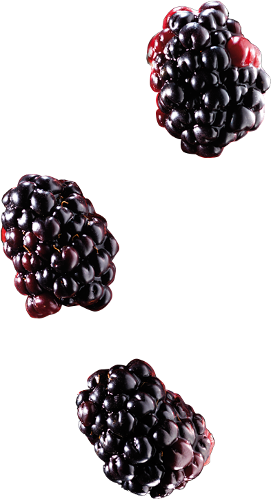 Blackberry (767x755), Png Download