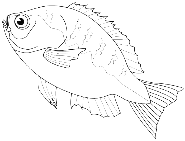 The Fish Are Often Sold At Markets Coloring Pages - Coloring Book (700x563), Png Download