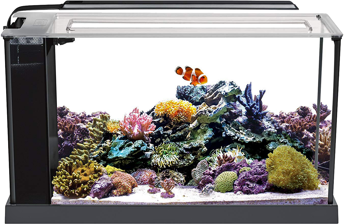Fluval Evo V 5 Aquarium - Fluval 5 Gallon Evo (1500x1500), Png Download