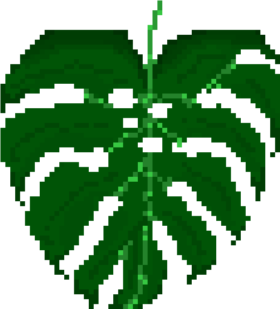 Monstera Leaf - Illustration (630x650), Png Download