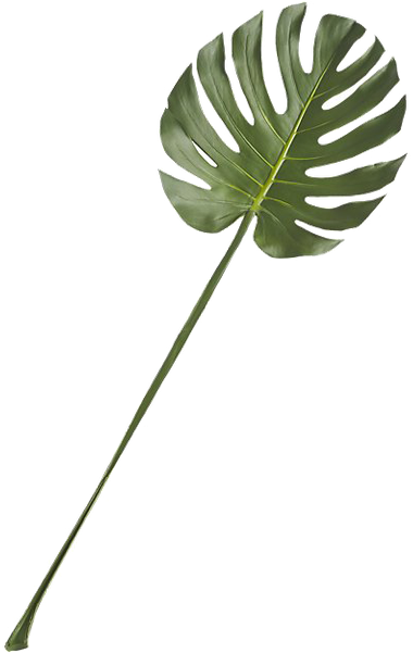 Clip Art (600x600), Png Download