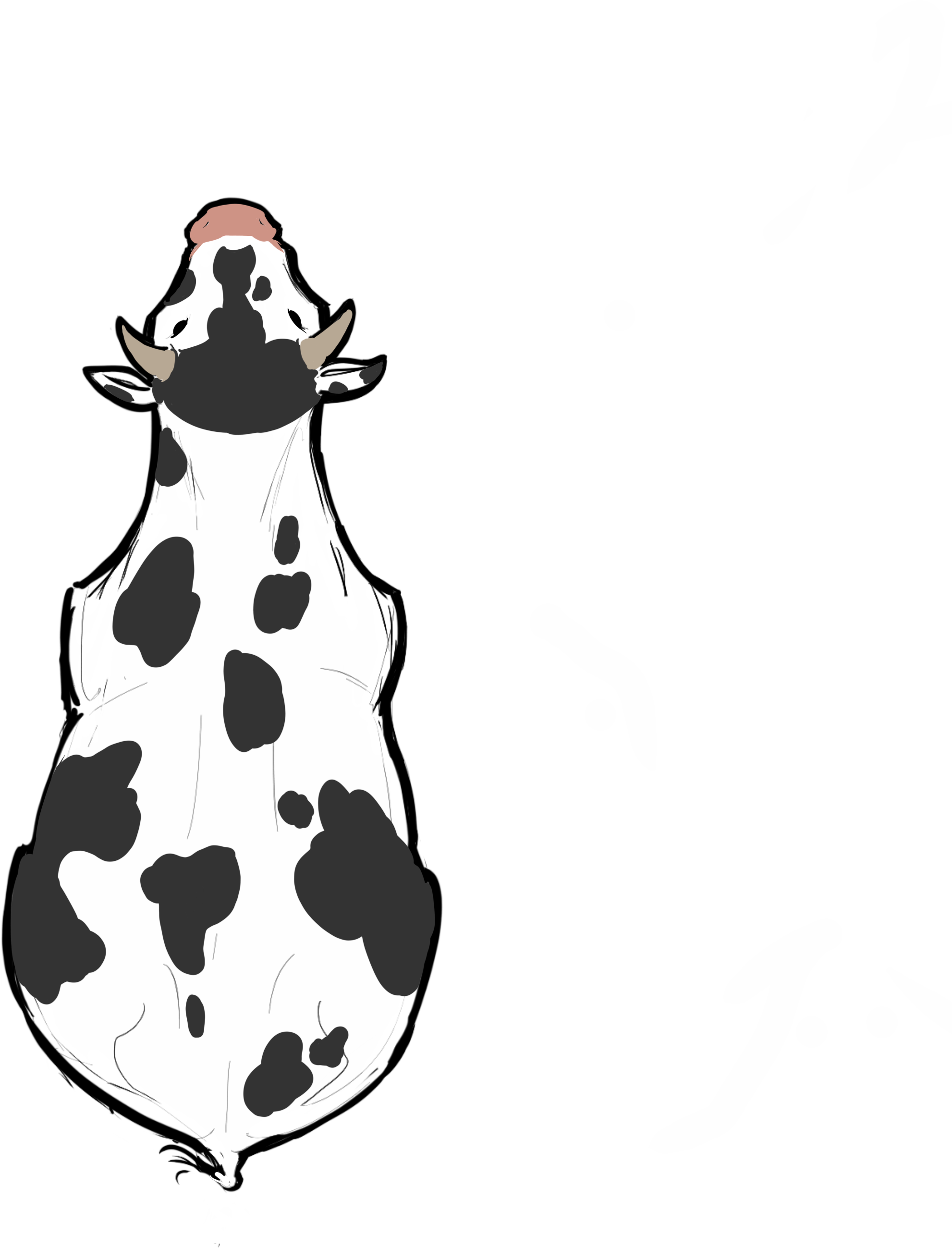 Cow From Above (3000x3000), Png Download