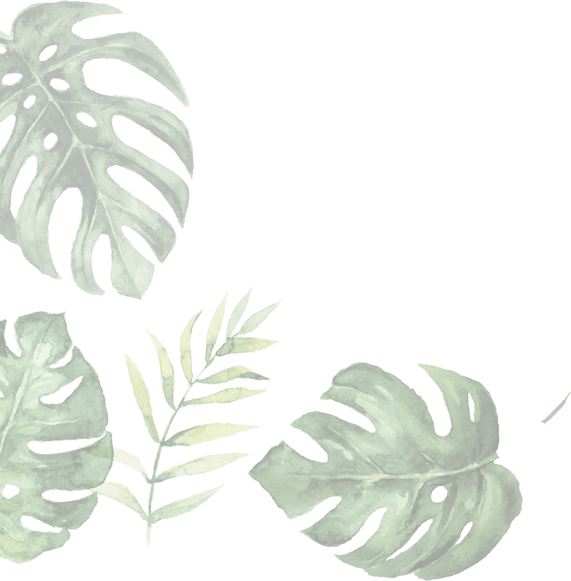 Leaf-2 - Illustration (1151x1170), Png Download