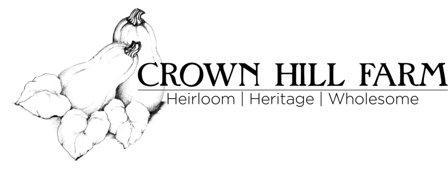 Drawn Crown Png (1000x416), Png Download