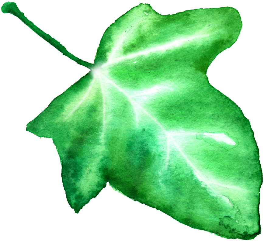 White Light Mosaic Cartoon - Maidenhair Tree (1024x864), Png Download