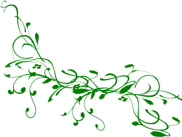Drawn Vine Green Vine - Tree Branch Clip Art (640x480), Png Download