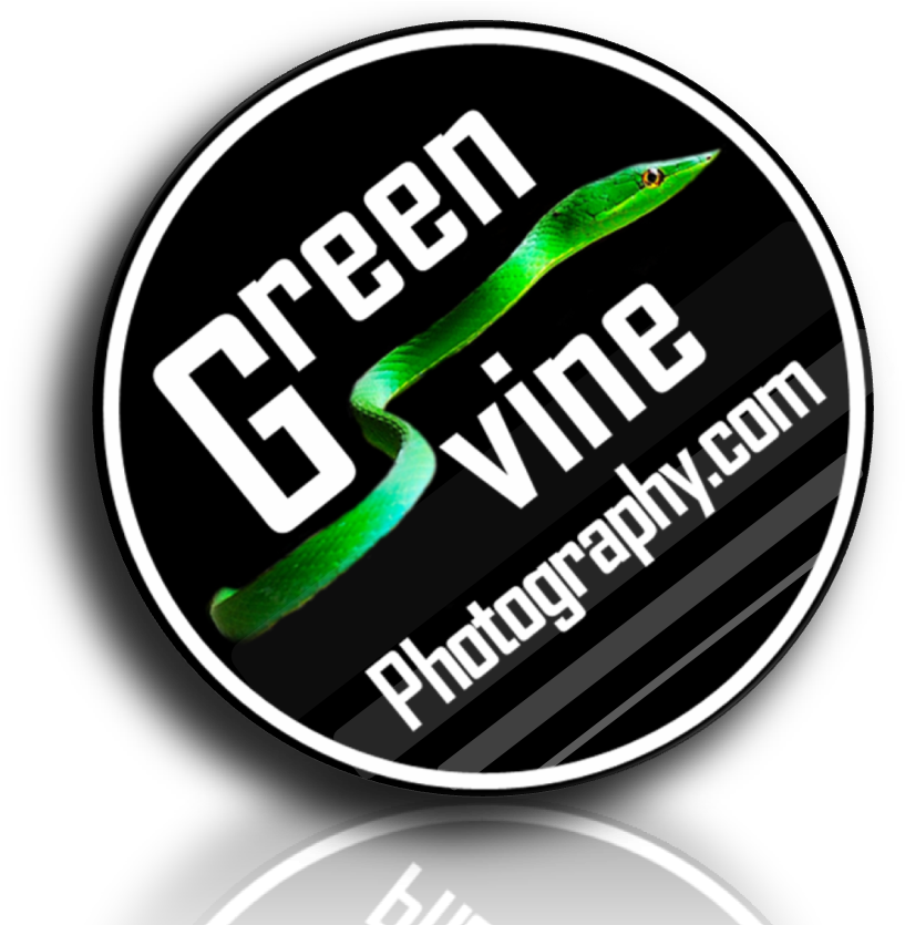Green Vine - Kelly Preston Sky High (834x834), Png Download
