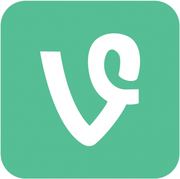 Are Instagram And Vine Taking Over Youtube - Social Media Icons Vine (800x799), Png Download