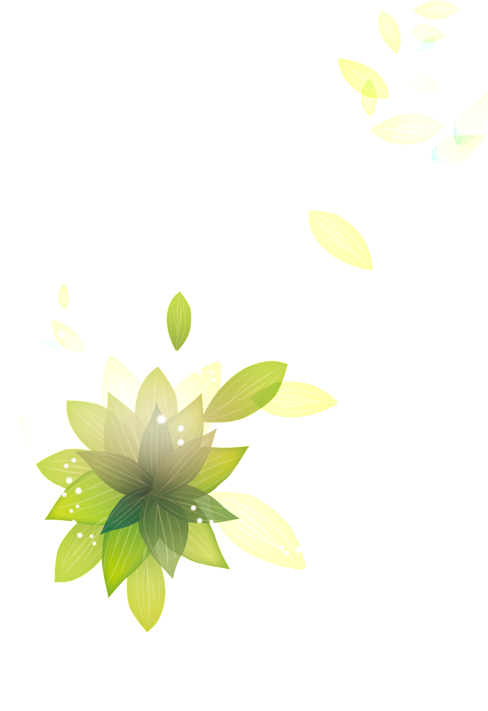 Dazzling Leaves Cartoon Transparent - Leaf (1024x1438), Png Download