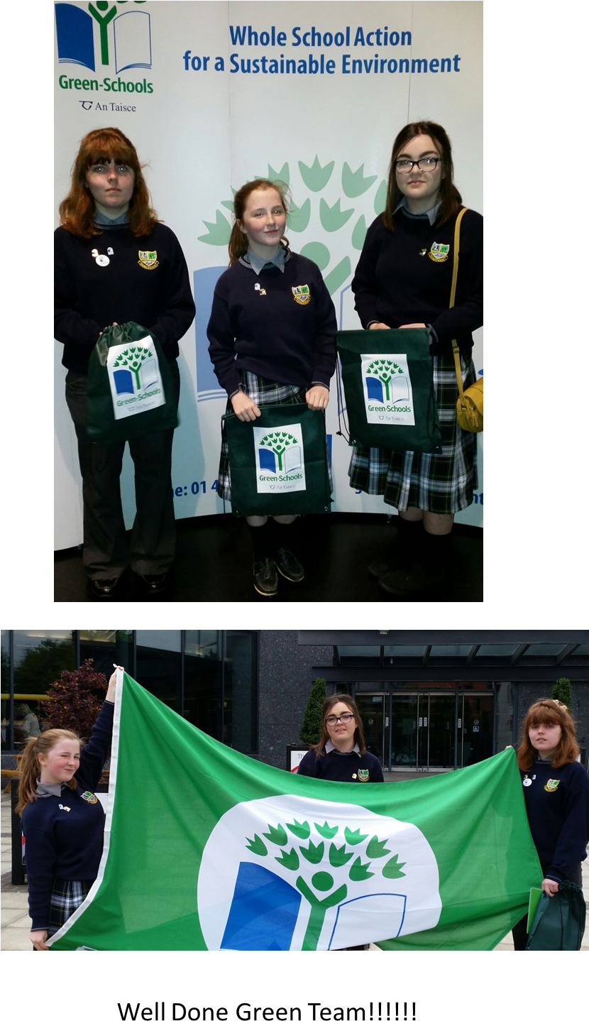 Well Done Green Team - Eco Schools (829x1469), Png Download