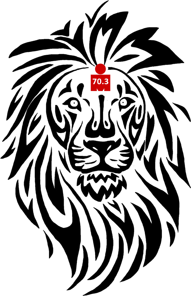 Coming Soon Ironman Triathlon Pinterest Tattoos Drawings - Tribal Lion Drawings (736x1008), Png Download