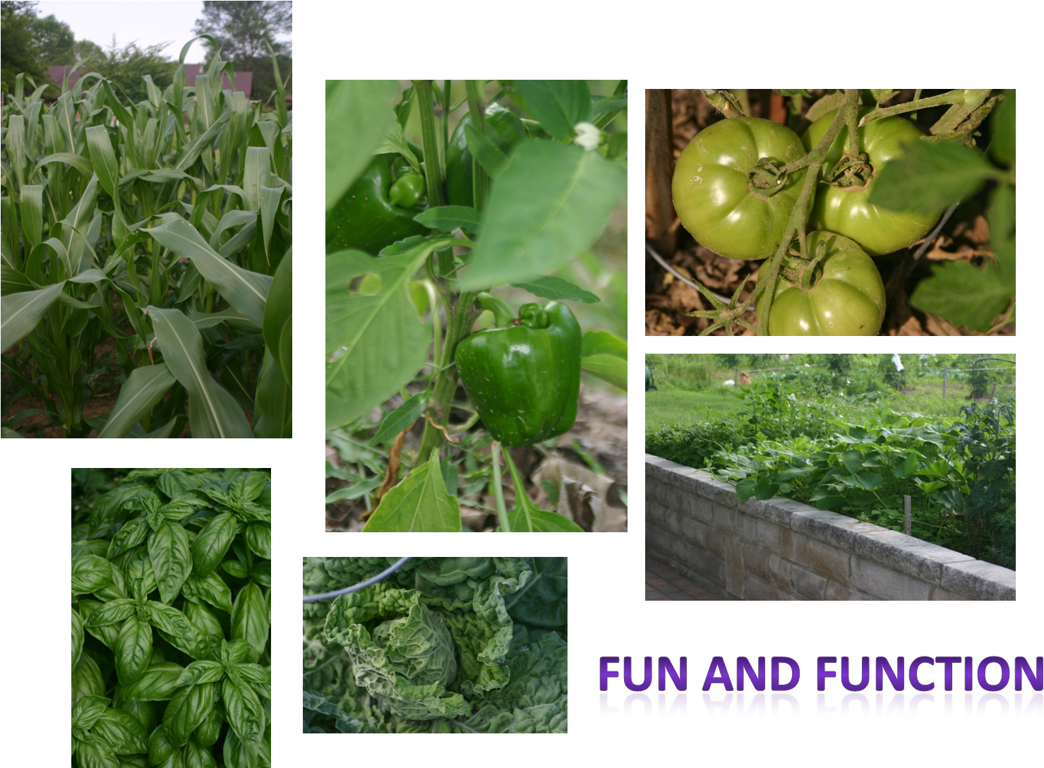 Team Home And Garden - Cash Crop (1530x1089), Png Download