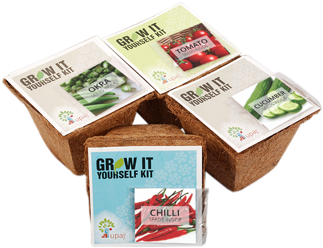 Vegetable Garden - Carton (722x818), Png Download