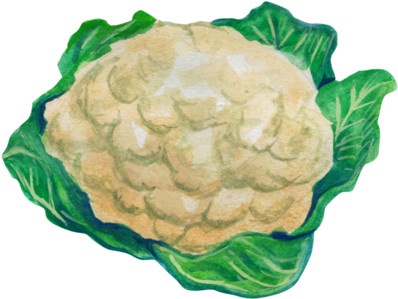 600 X 521 3 - Cauliflower (600x521), Png Download