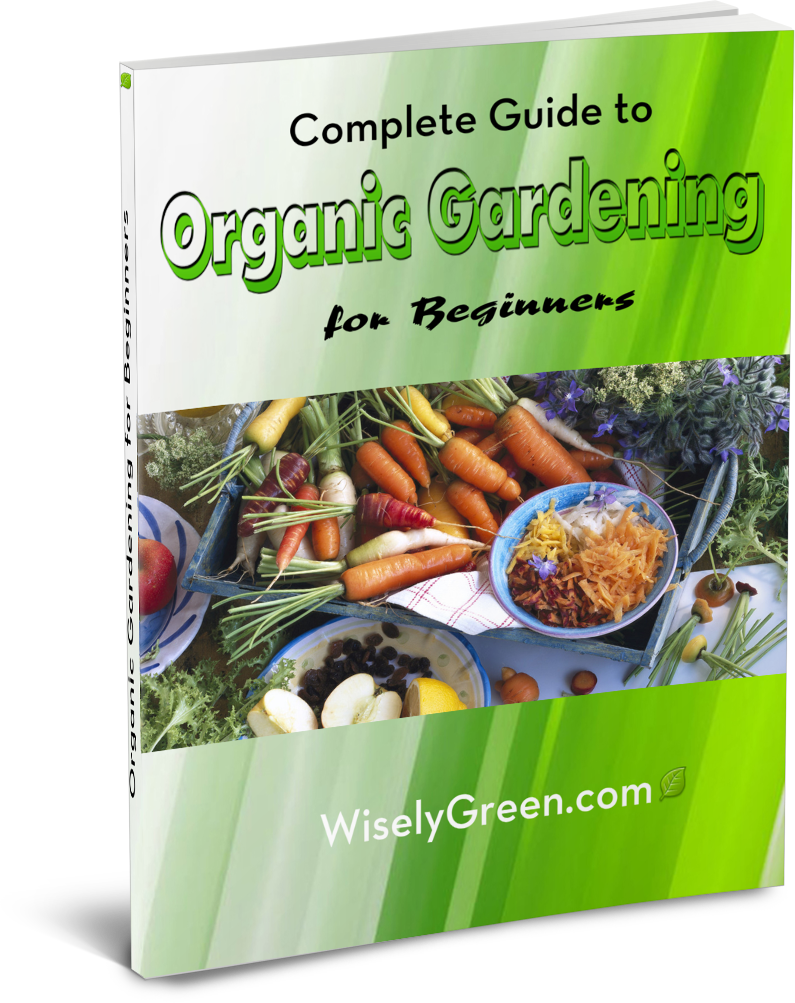 Click On Free Ebook And Download Today - Superfood (795x1003), Png Download