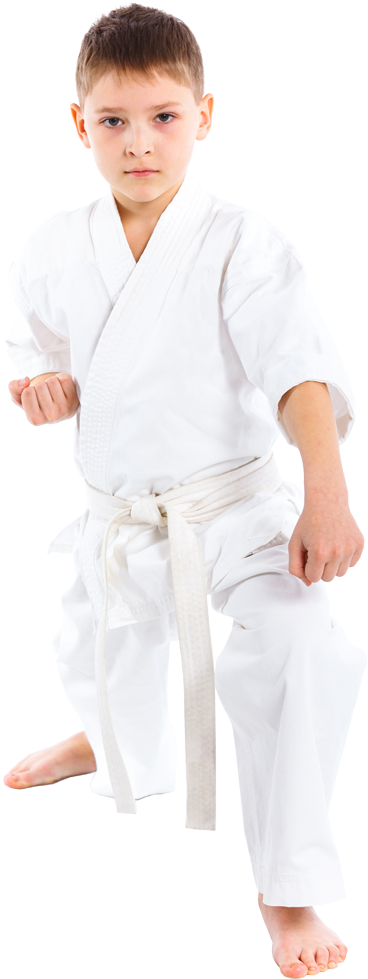 We Have Developed A Program Based On Traditional Taekwondo - Brazilian Jiu-jitsu (401x1000), Png Download