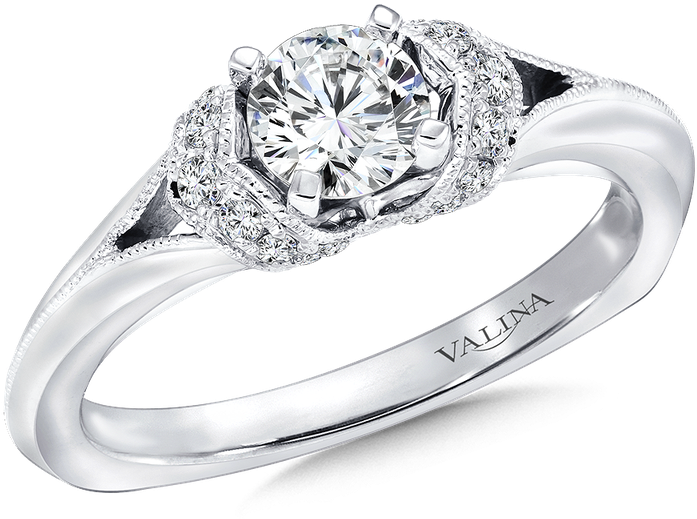 Valina Mounting With Side Stones - Engagement Ring (800x800), Png Download