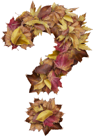 Question Mark Symbol With Dry Leaves - Single Cell Vs Bulk Rna Seq (866x650), Png Download