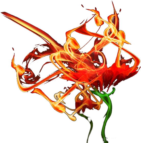 Fire Flower - Flower (800x600), Png Download
