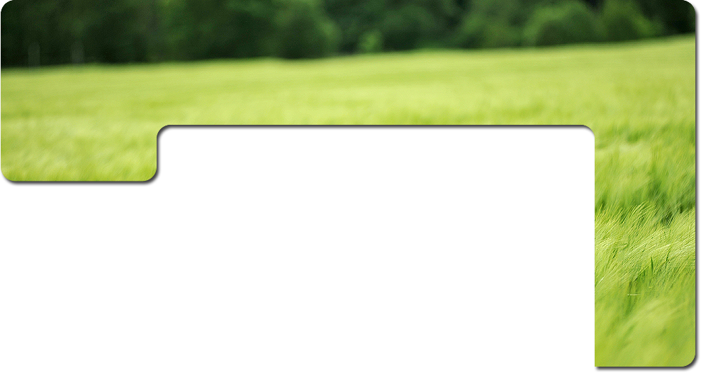 Major Disc Mower Blades (989x526), Png Download