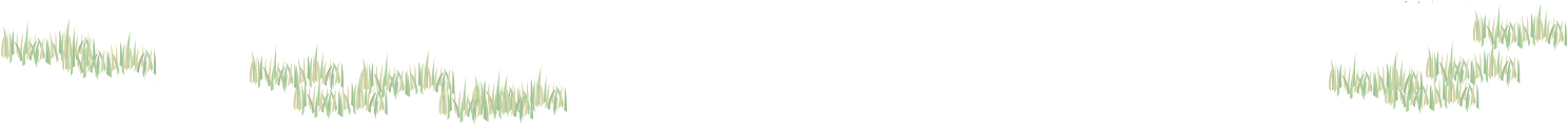 Tree (2560x900), Png Download