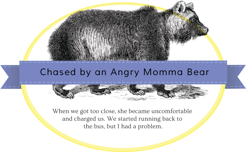 Momma Bear Badge - Punxsutawney Phil (817x554), Png Download