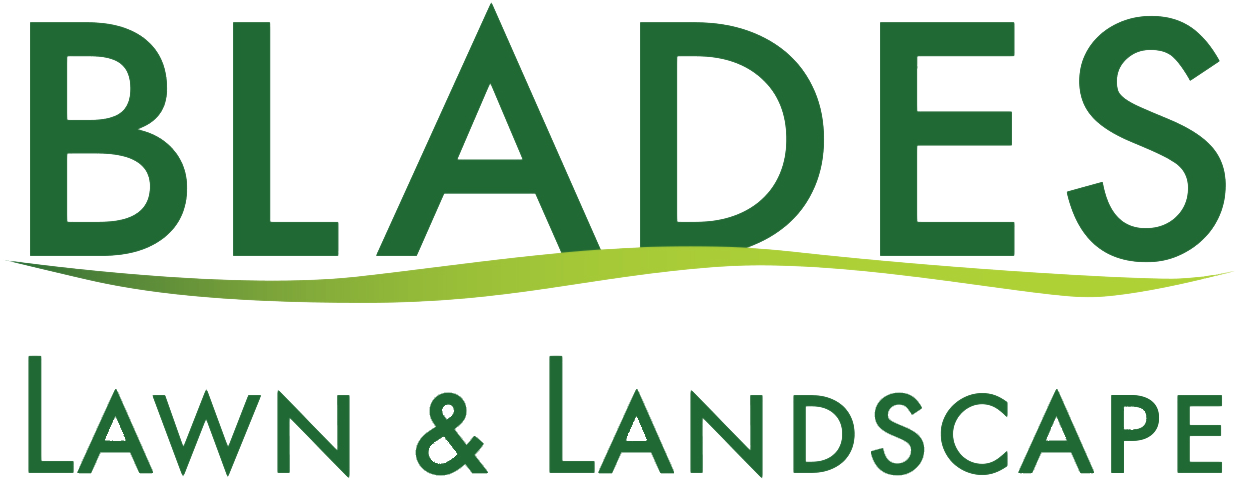 Logo Blades Lawn Care Co - Piedra Papel O Tijera (1434x600), Png Download