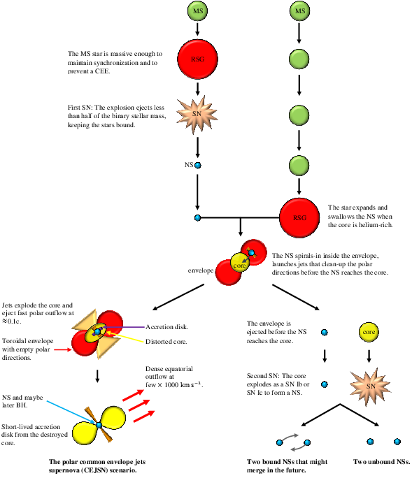 A Schematic Drawing Of The Polar Cejsn Scenario We - Diagram (612x792), Png Download