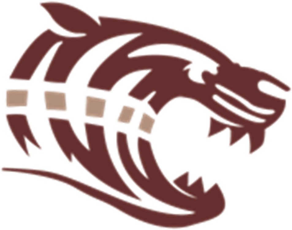 Dawson County Tigers Png (1024x1024), Png Download