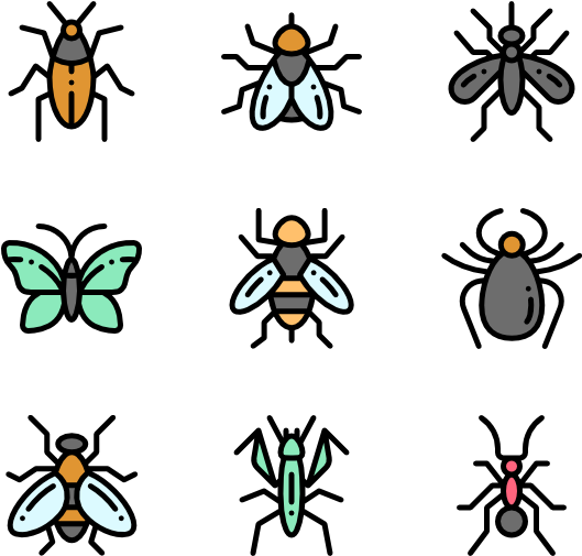 Insects - Membrane-winged Insect (600x564), Png Download